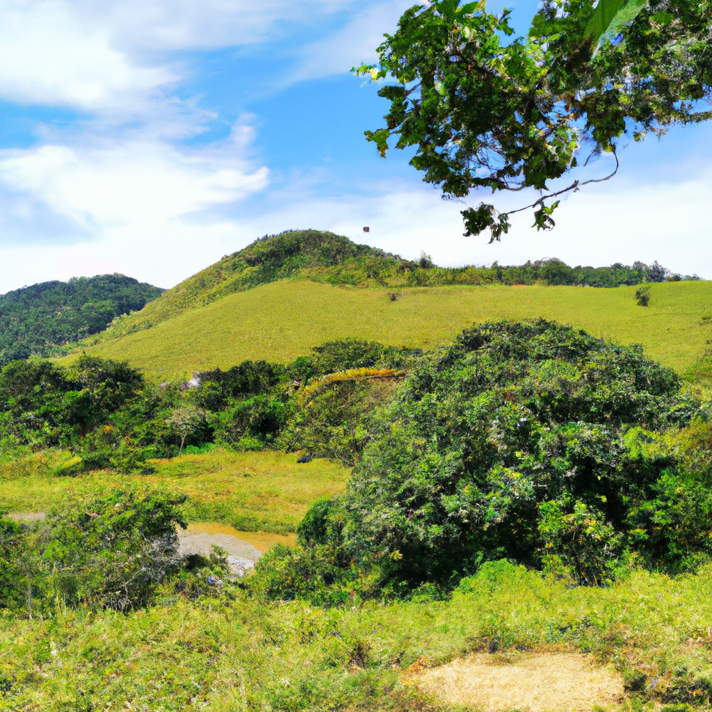 무료웹툰 사이트 차단 시 대체 접속 방법 정리 - 차단된 무료웹툰 사이트에 쉽게 접근하는 효과적인 대체 방법 안내