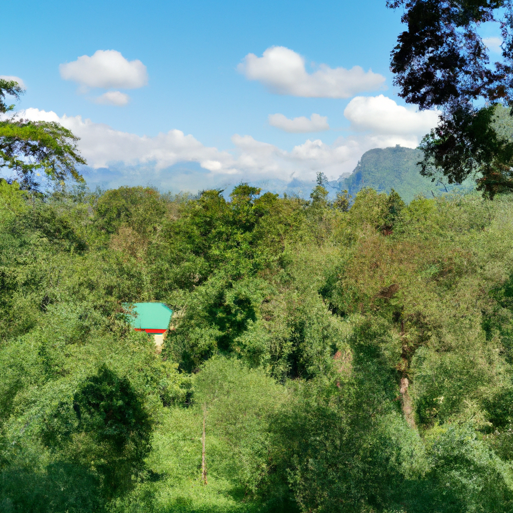 대구오피 지역별 인기순위 TOP5 분석 - 대구오피 인기순위 TOP5 분석으로 찾은 최고의 지역 추천