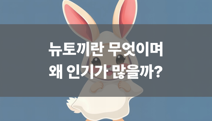 뉴토끼란 무엇이며 왜 인기가 많을까