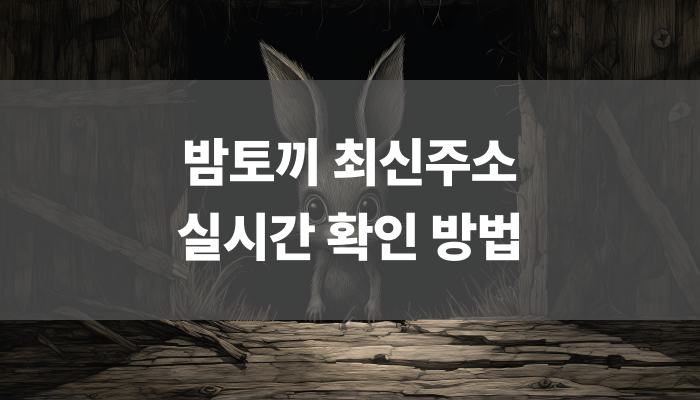 밤토끼 최신주소 실시간 확인 방법