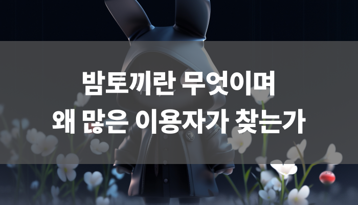 밤토끼란 무엇이며 왜 많은 이용자가 찾는가