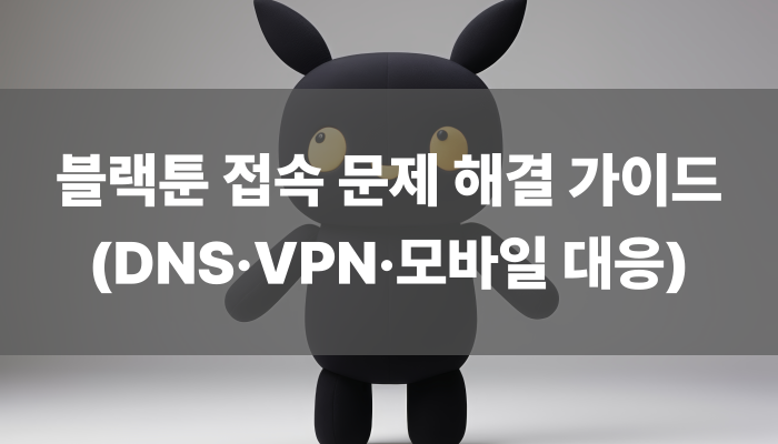 블랙툰 접속 문제 해결 가이드