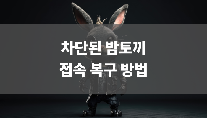차단된 밤토끼 접속 복구 방법
